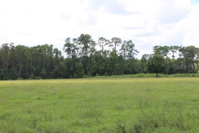 Green Swamp Road, Clermont, FL 34714 Photo