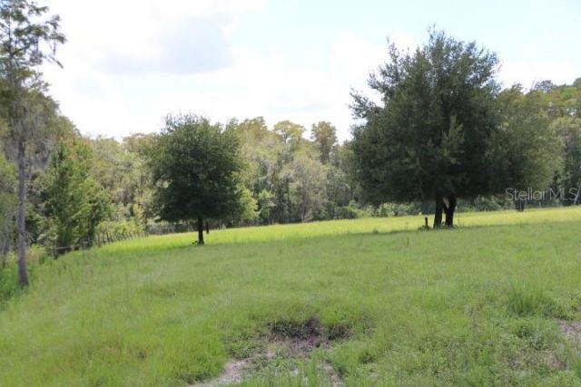 Green Swamp Road, Clermont, FL 34714 Photo