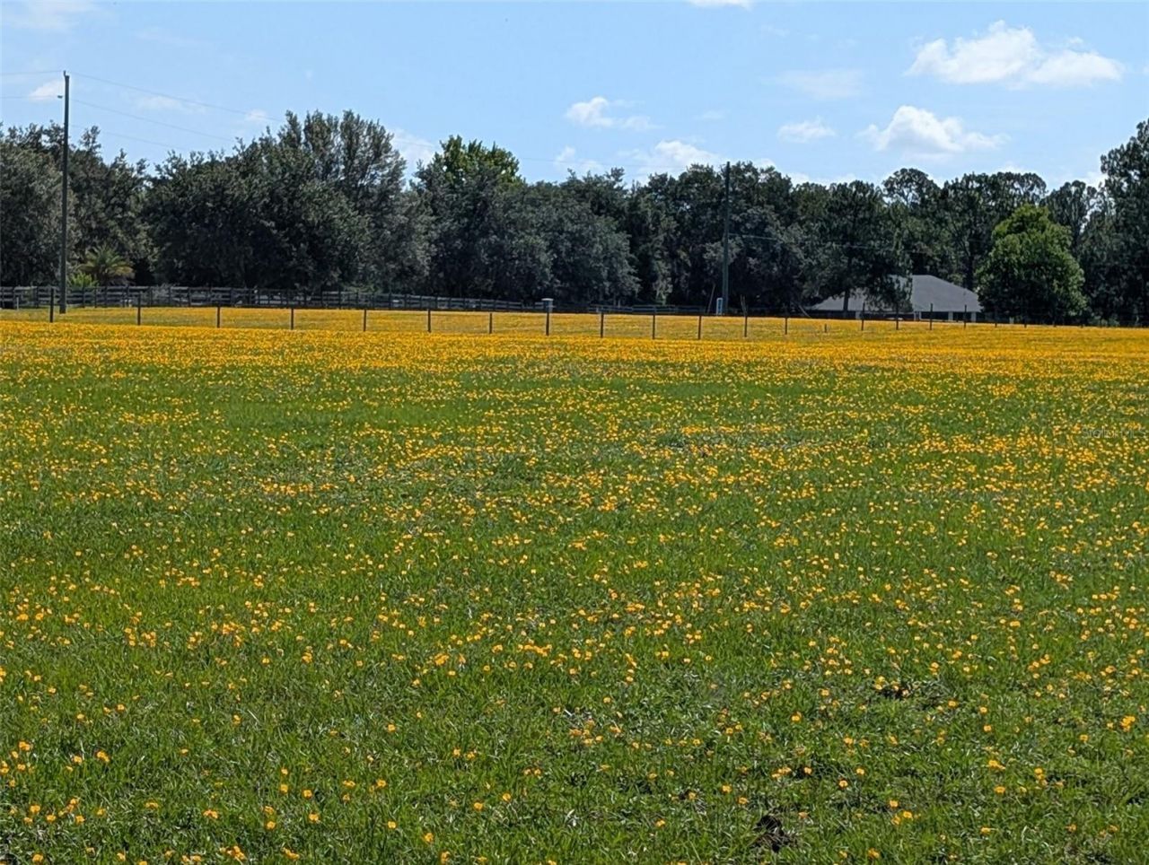 Green Swamp Road, Clermont, FL 34714 Photo