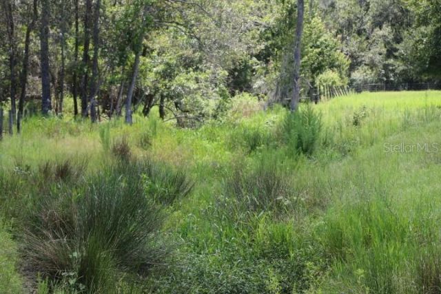 Green Swamp Road, Clermont, FL 34714 Photo