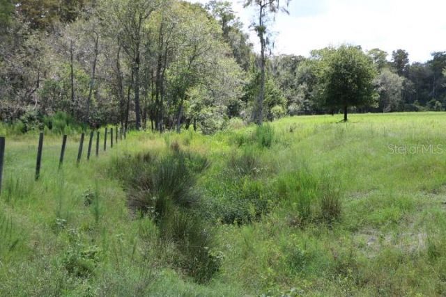 Green Swamp Road, Clermont, FL 34714 Photo