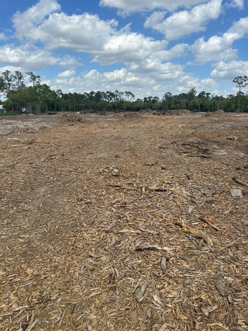 155 E Lincoln, La Belle, FL 33935 Photo