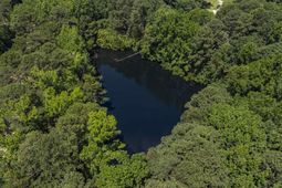 306 Andrew Corley Road photo 4