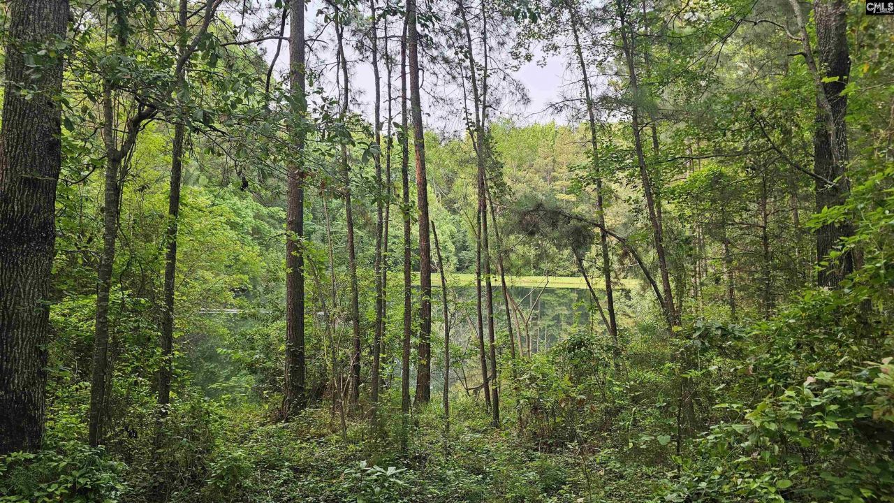 306 Andrew Corley Road Photo 4