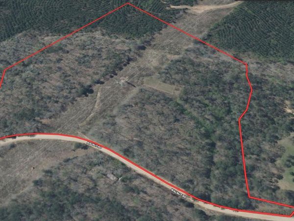 Walnut Road, Millport, AL 35576