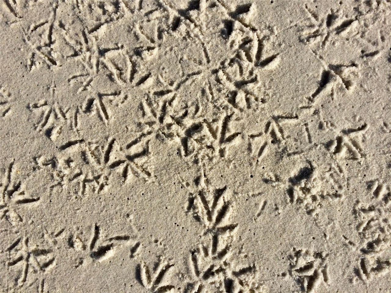 3710 Gulf Of Mexico Drive, Unit D19, Longboat Key, FL 34228 Photo