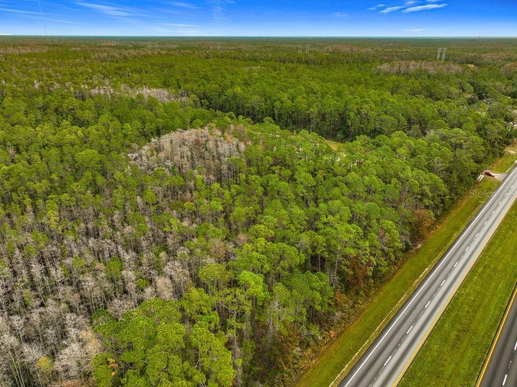 20617 E Colonial Drive, Christmas, FL 32709 Photo