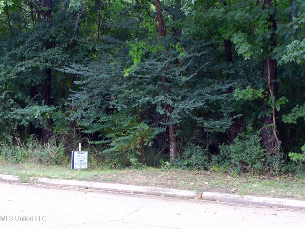 Woodbridge Drive, Madison, MS 39110