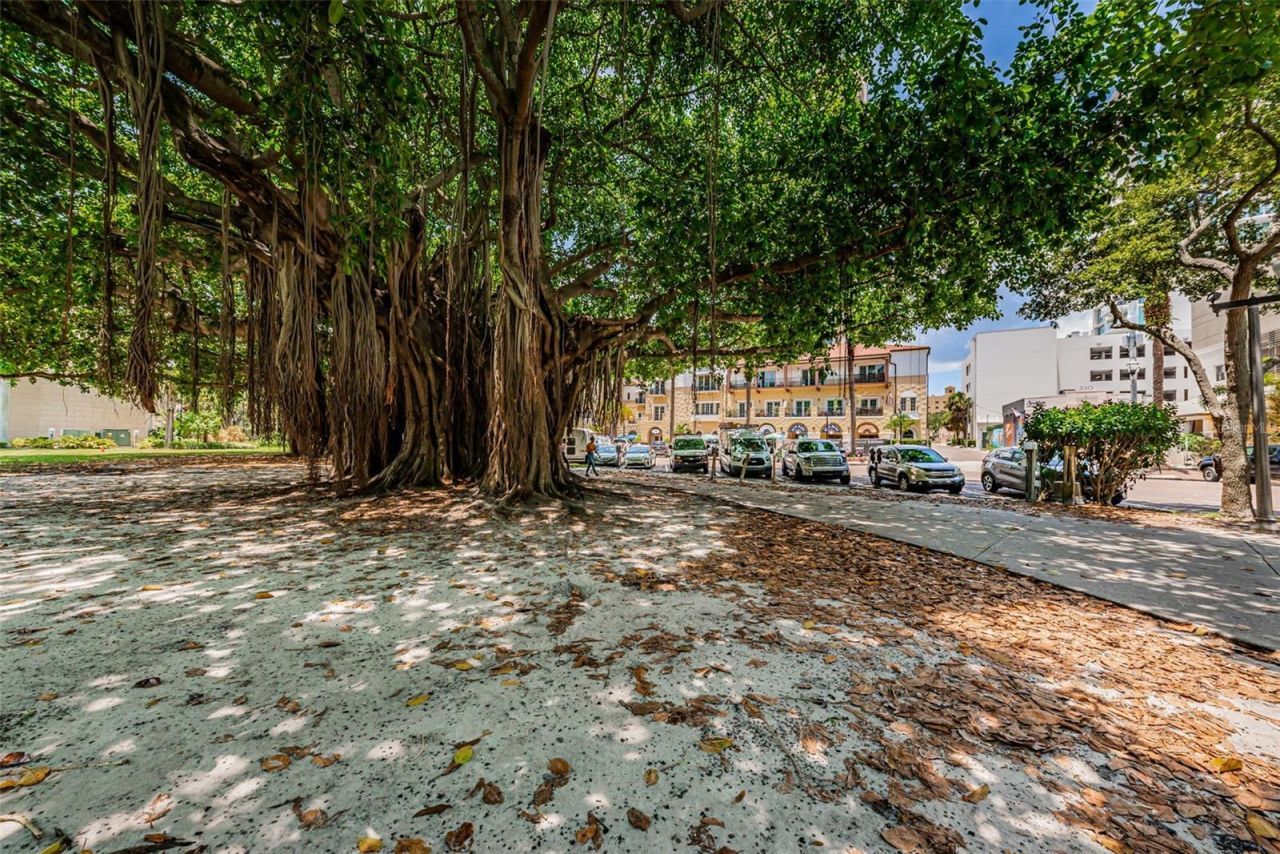 700 Beach Drive Ne, Unit 308, Saint Petersburg, FL 33701 Photo