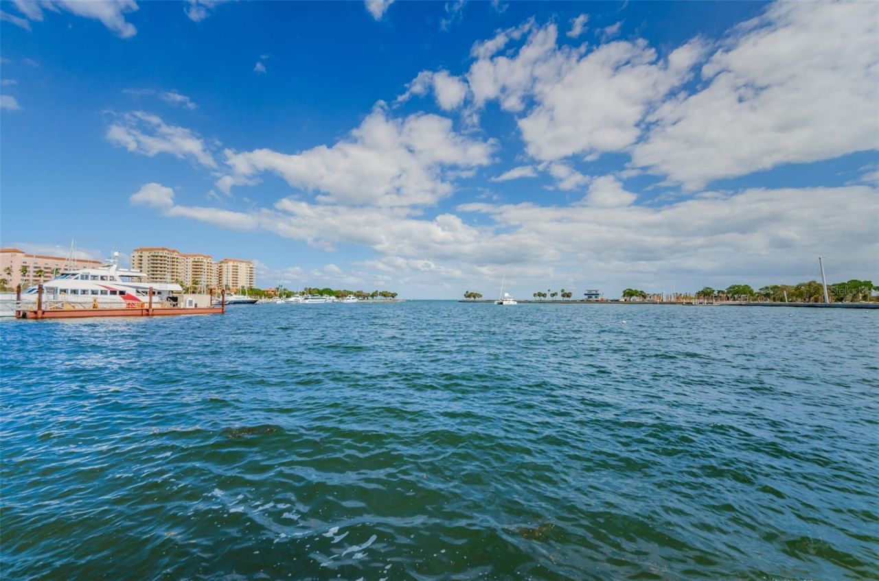 700 Beach Drive Ne, Unit 308, Saint Petersburg, FL 33701 Photo