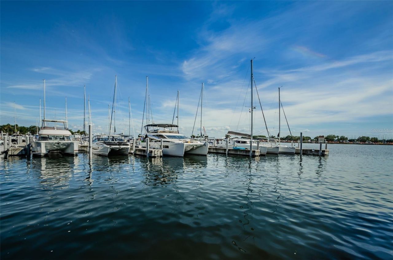 700 Beach Drive Ne, Unit 308, Saint Petersburg, FL 33701 Photo