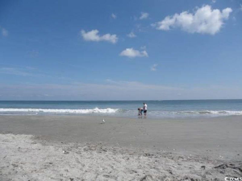 936 Oak Ridge Pl. Photo 31