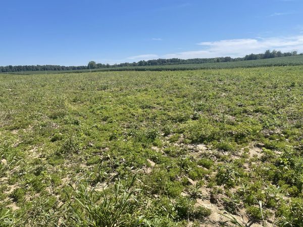 1 W CR 990 North Tract G, Elizabethtown, IN 47232