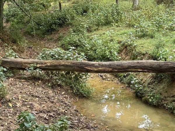 3595 Lecta Kino Road, Glasgow, KY 42141