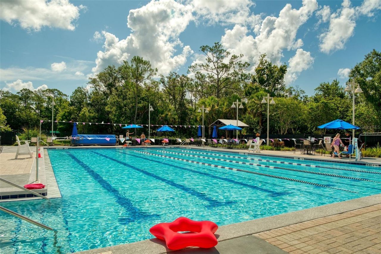 607 Teal Avenue, Celebration, FL 34747 Photo