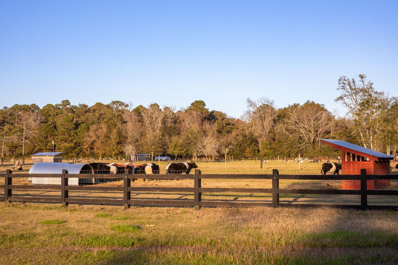 5738 Kiawah River Drive Photo 77