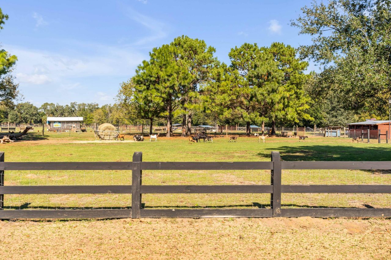 5738 Kiawah River Drive Photo 78