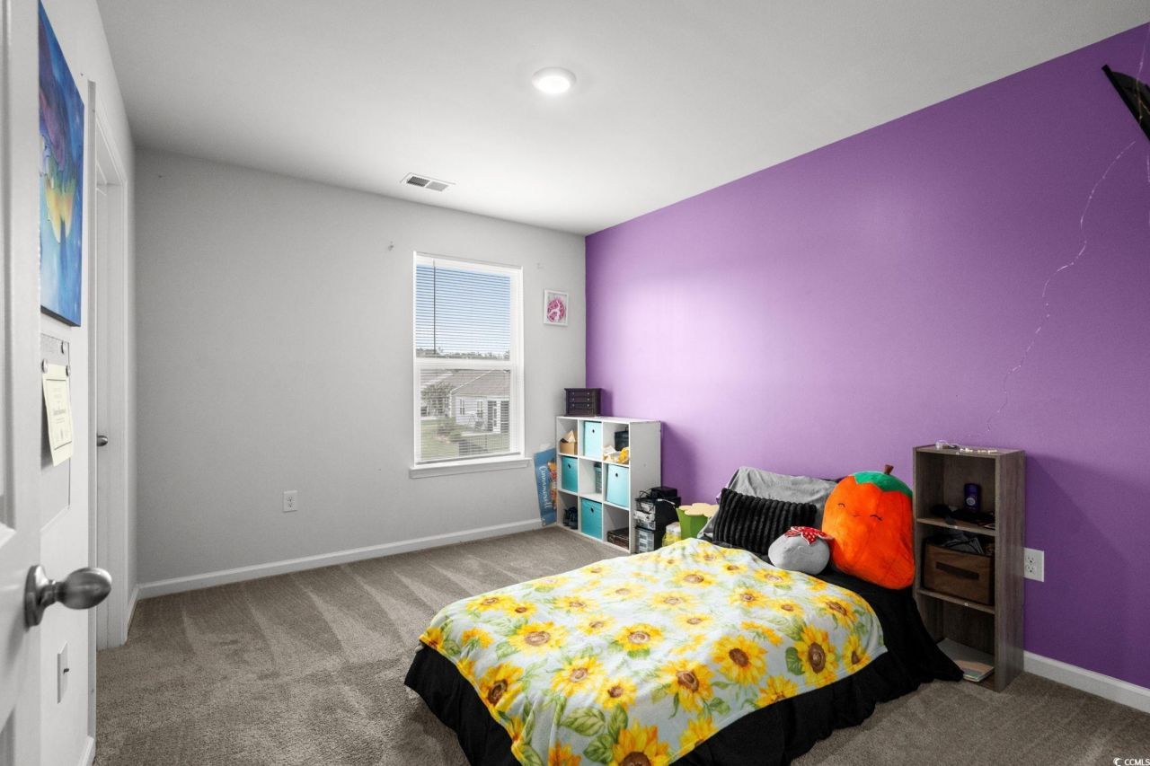 899 Snowberry Dr. Photo 14