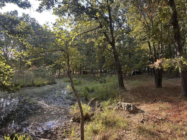 000 Grimes Mill Drive, Mountain Grove, MO 65711