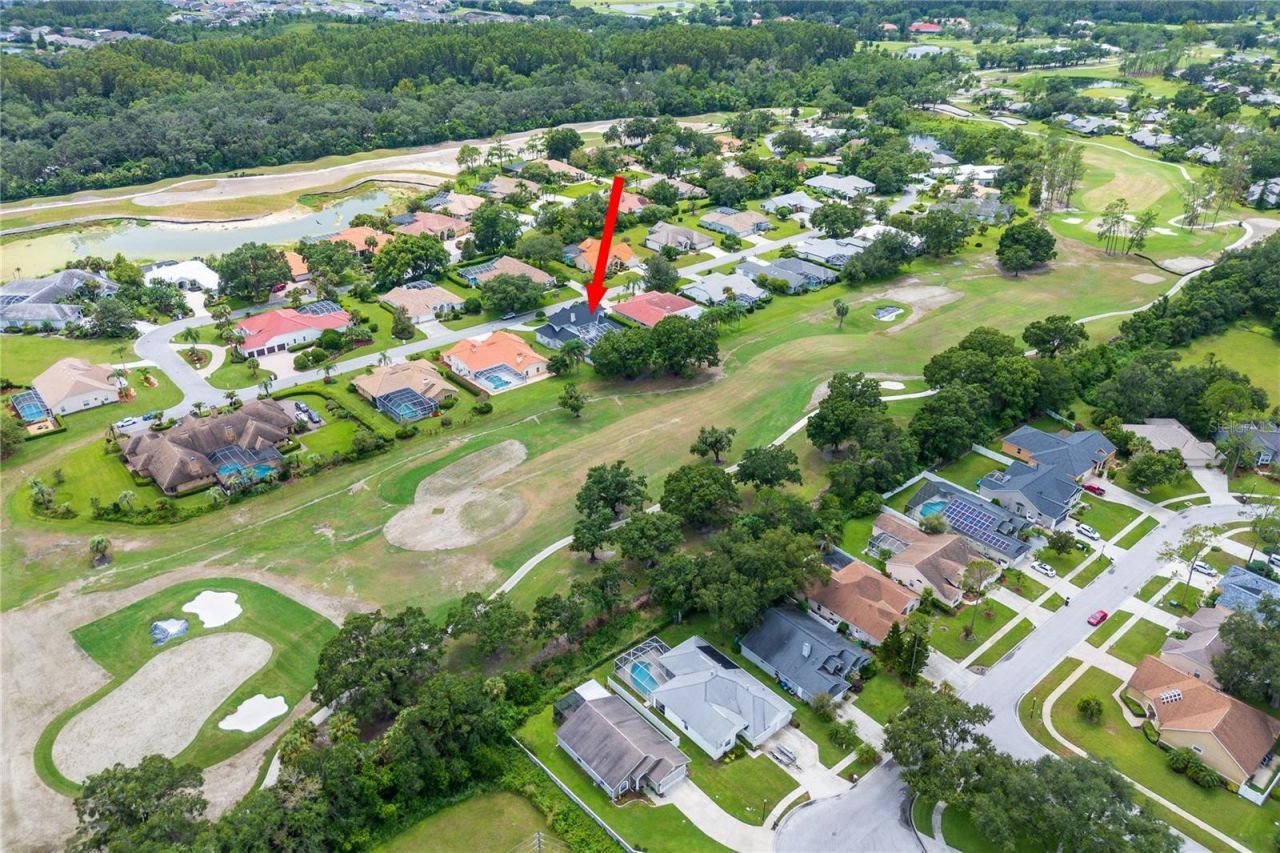 30331 Fairway Drive, Wesley Chapel, FL 33543 Photo