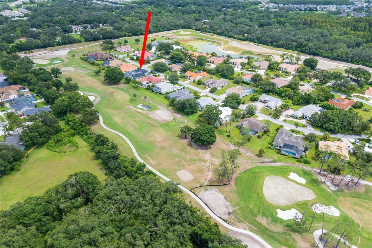 30331 Fairway Drive, Wesley Chapel, FL 33543 Photo