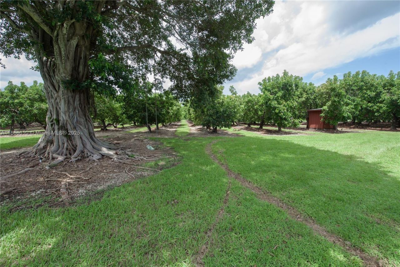 19365 SW 256th St, Homestead, FL 33031 Photo