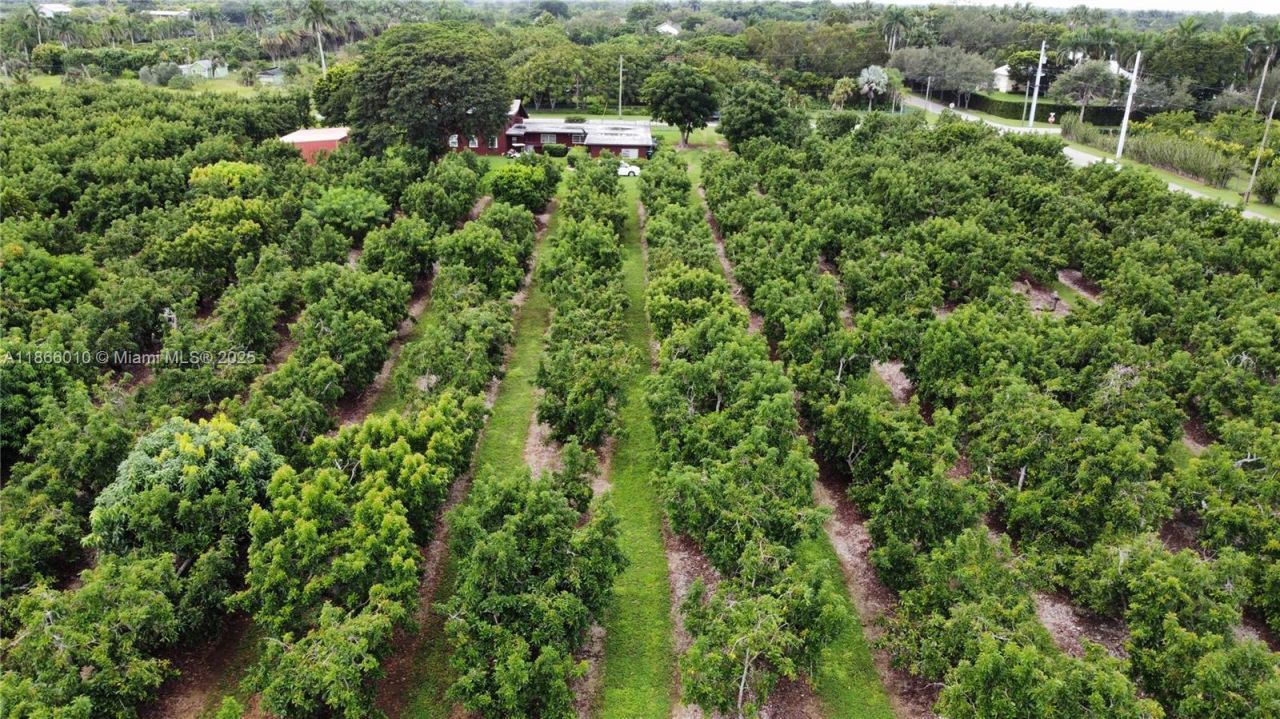 19365 SW 256th St, Homestead, FL 33031 Photo