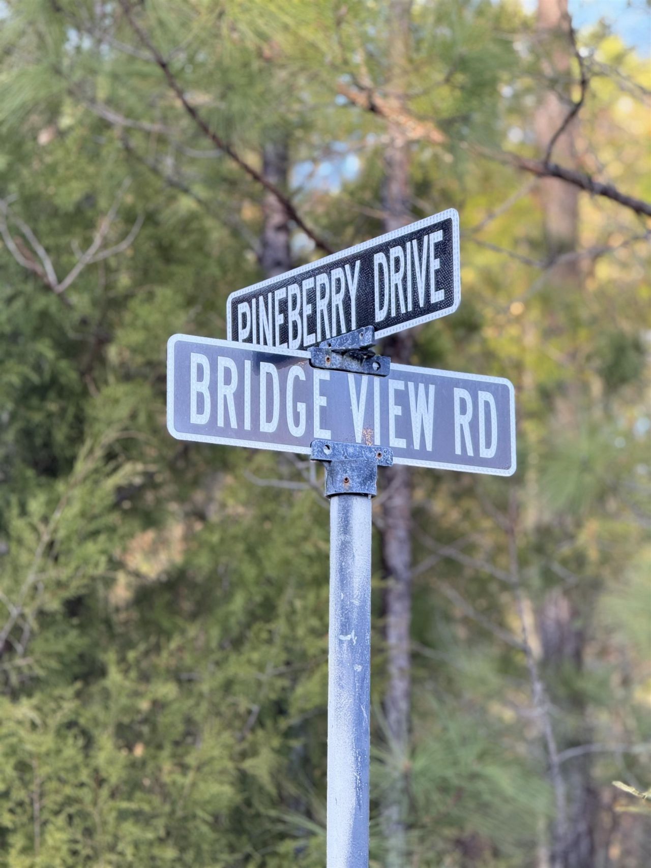 153 Bridge View Rd. Photo 12