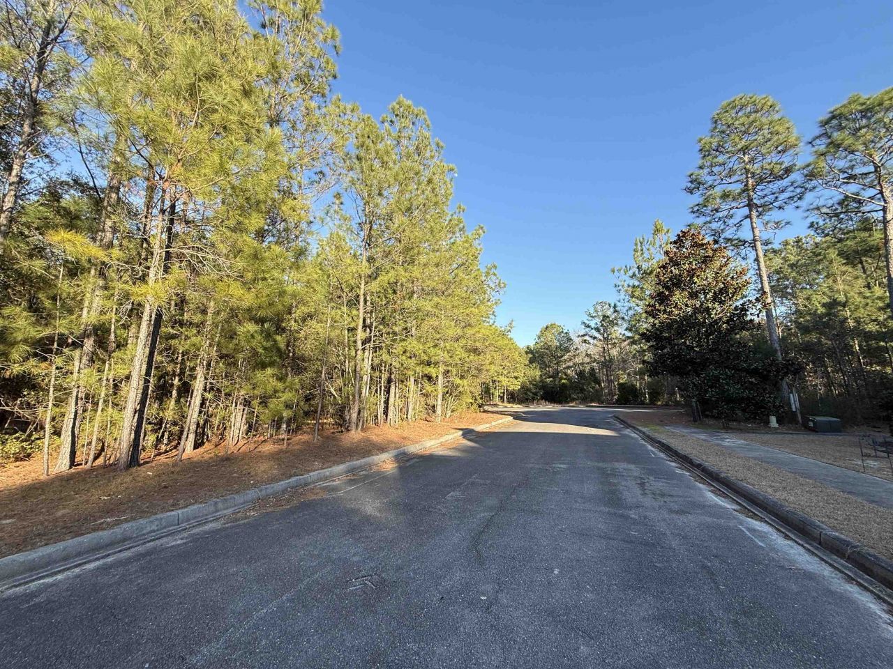 153 Bridge View Rd. Photo 4