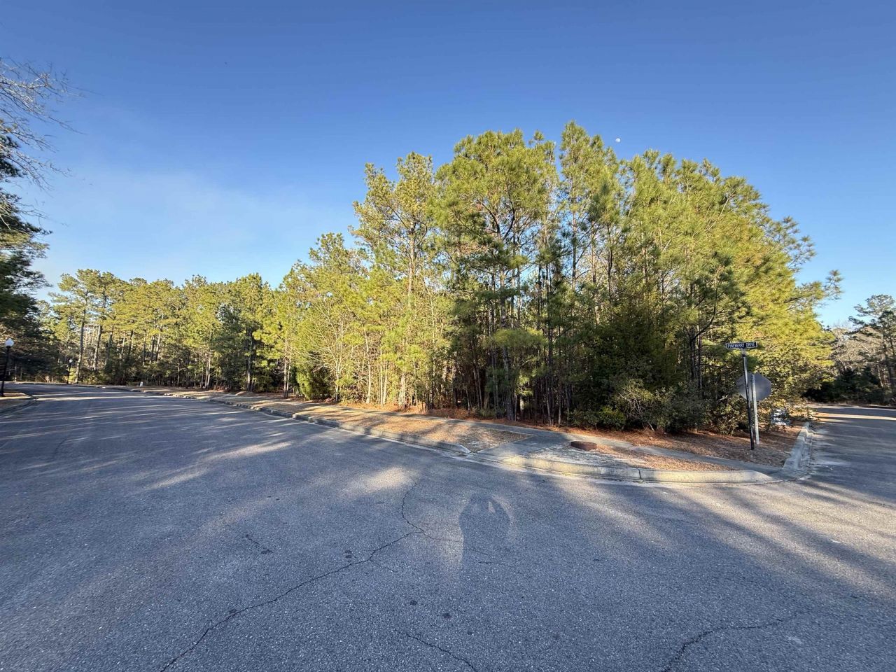 153 Bridge View Rd. Photo 5