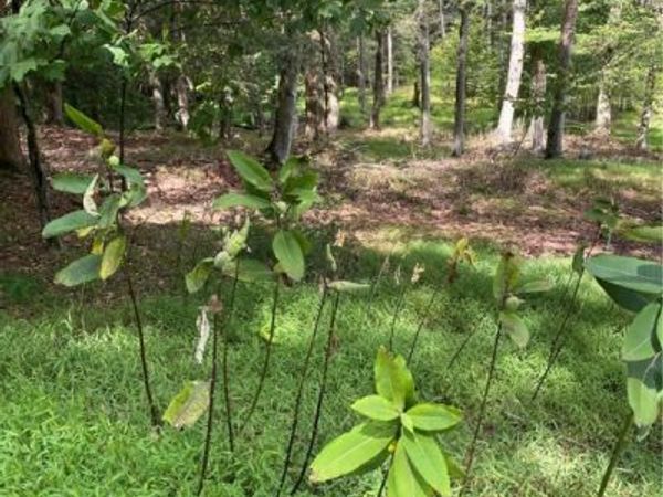 422 Red Oak Road, Flinton, PA 16640