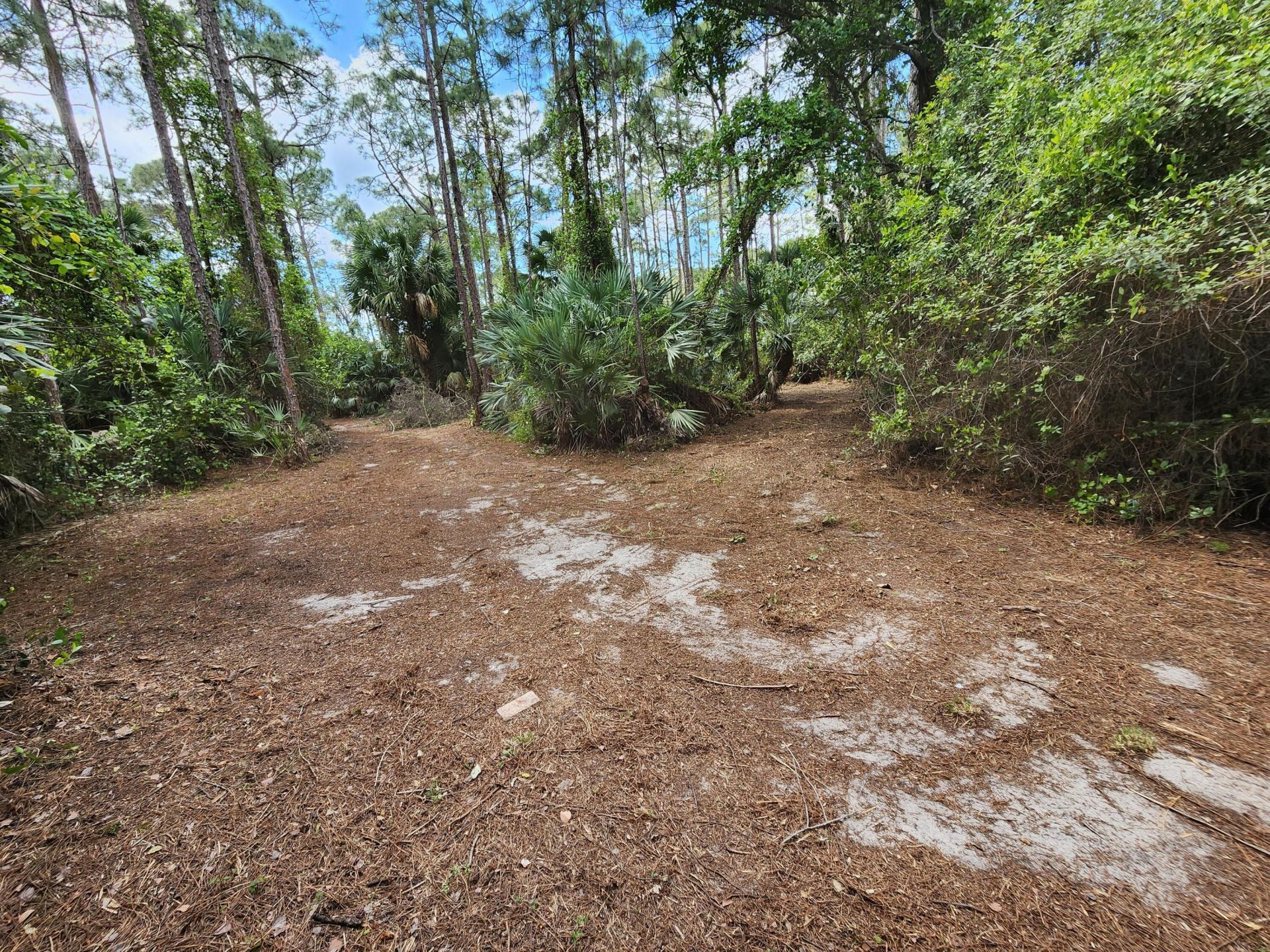 16784 84th Court N, The Acreage, FL 33470 Photo