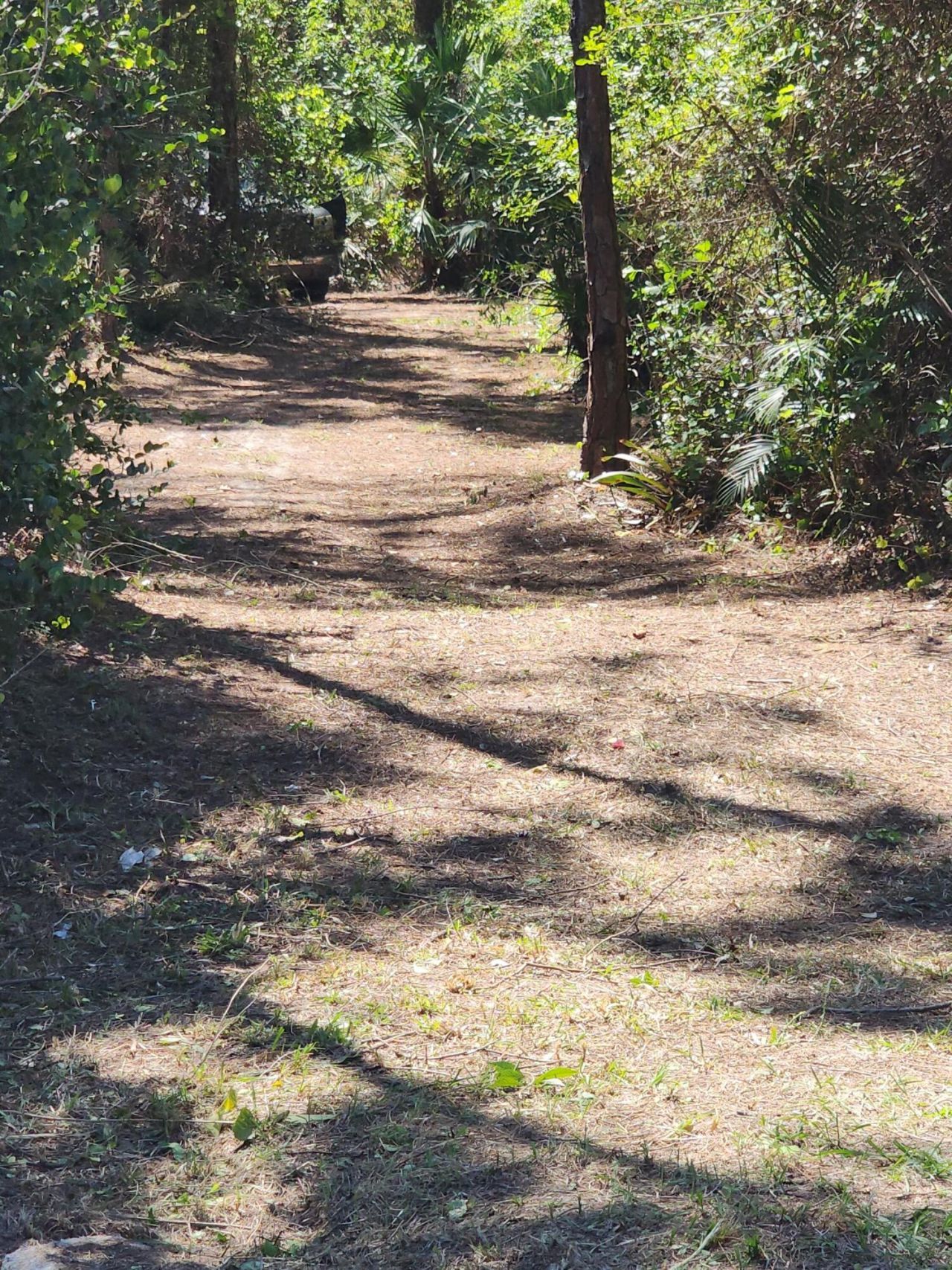 16784 84th Court N, The Acreage, FL 33470 Photo