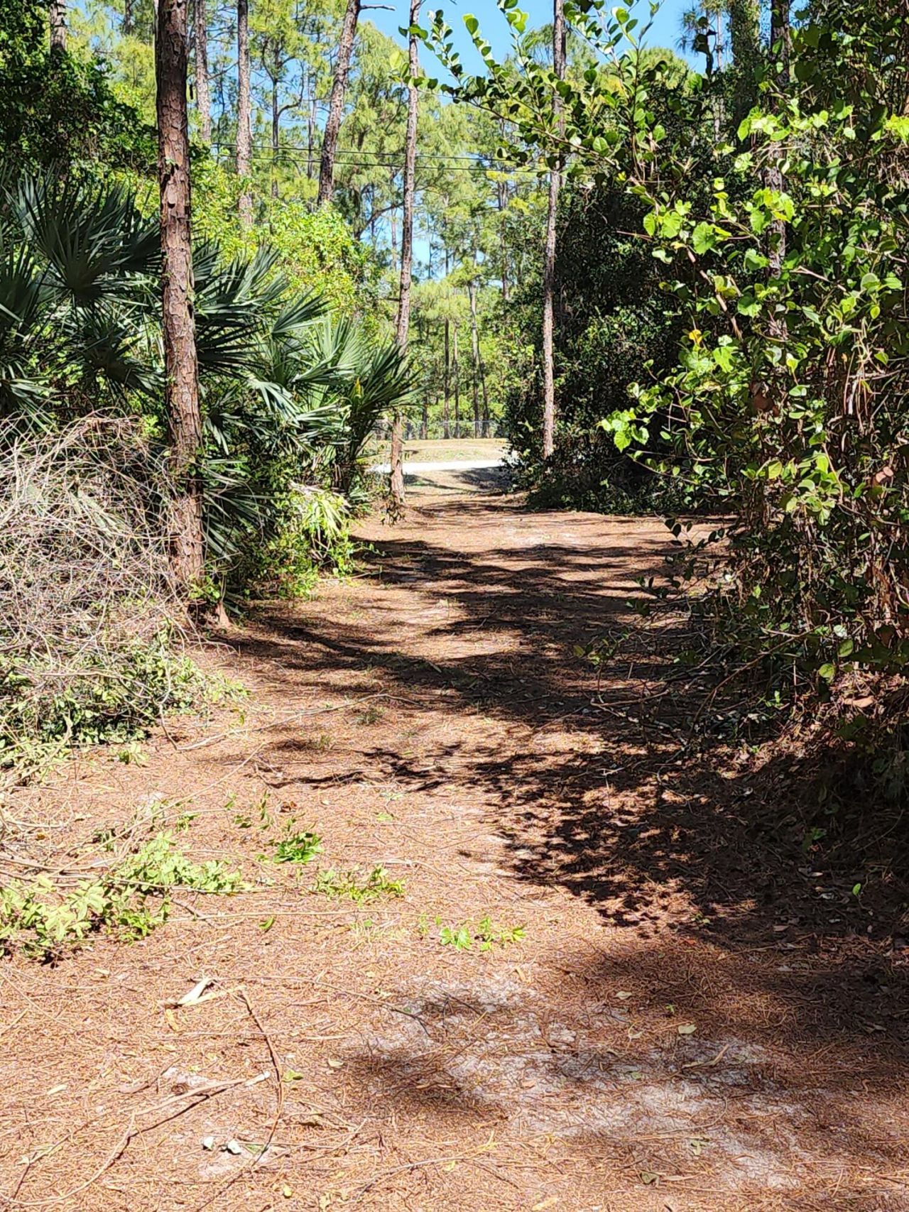 16784 84th Court N, The Acreage, FL 33470 Photo