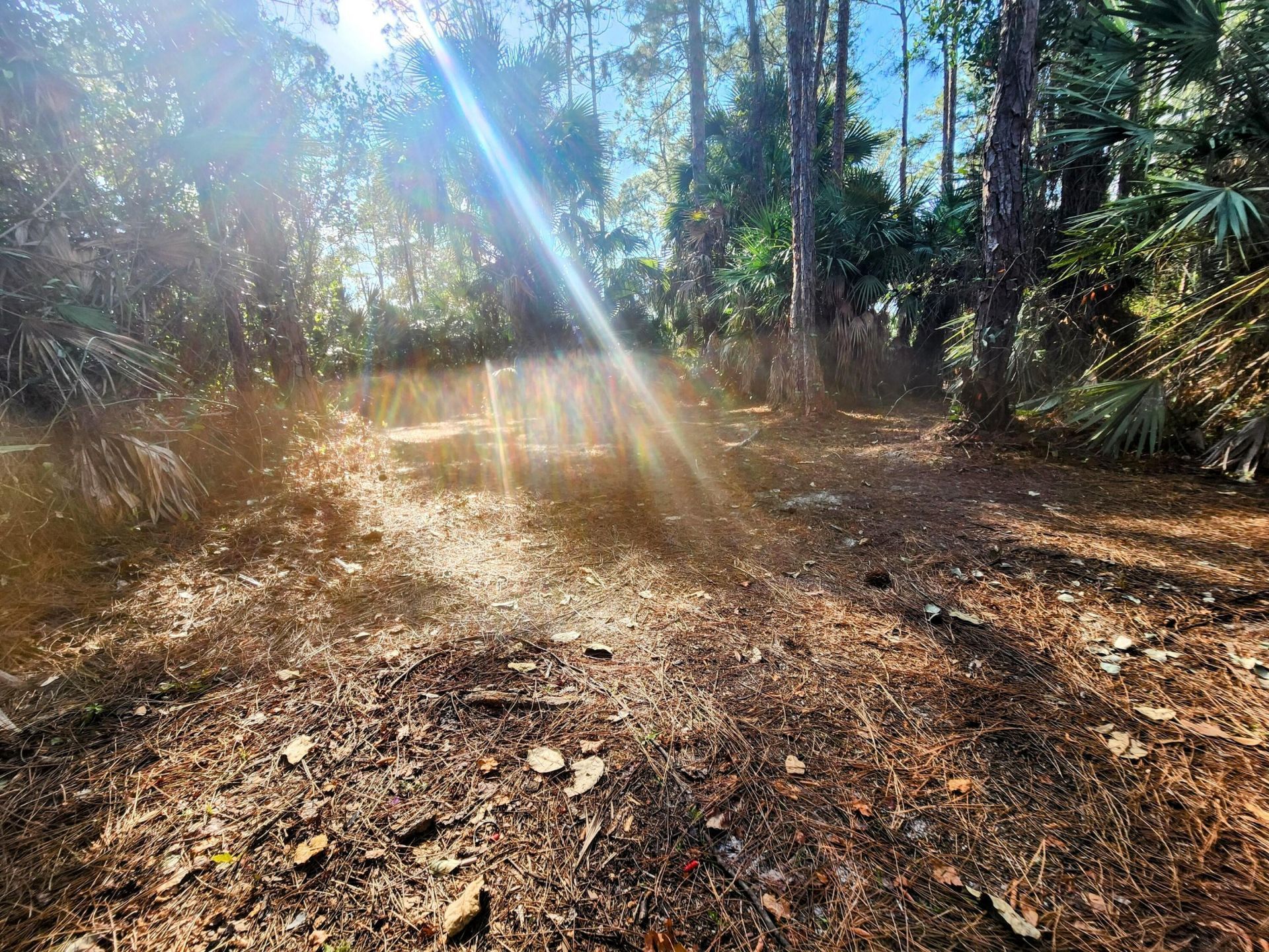 16784 84th Court N, The Acreage, FL 33470 Photo