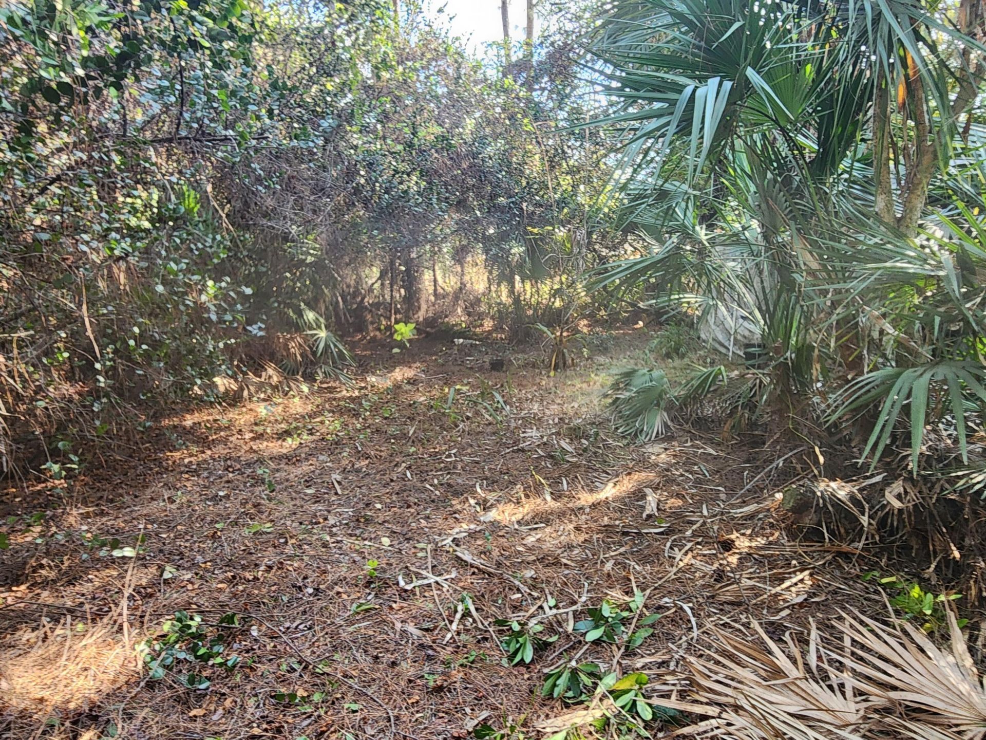 16784 84th Court N, The Acreage, FL 33470 Photo