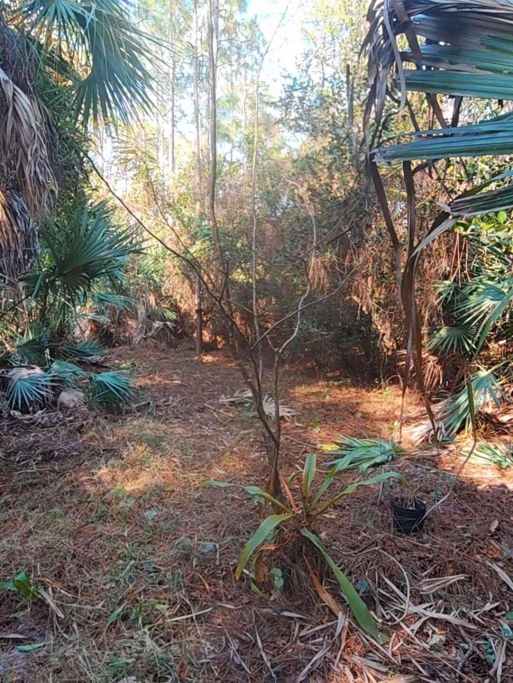 16784 84th Court N, The Acreage, FL 33470 Photo