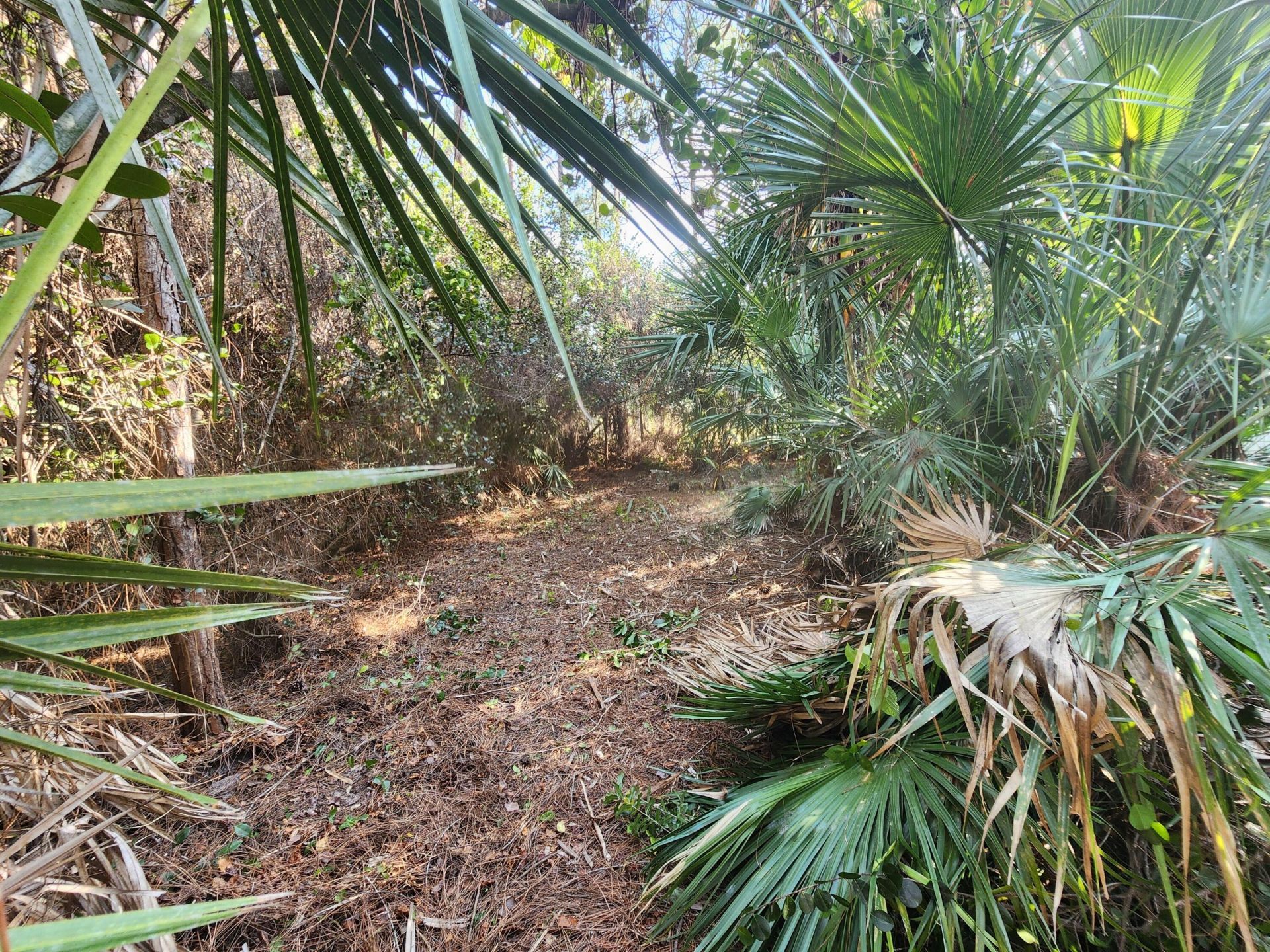 16784 84th Court N, The Acreage, FL 33470 Photo