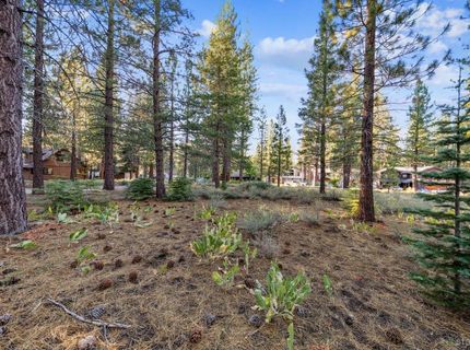 715 Shoshone Street, South Lake Tahoe, CA 96150 Photo