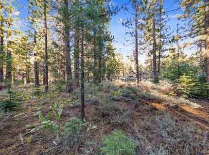 715 Shoshone Street, South Lake Tahoe, CA 96150 Photo
