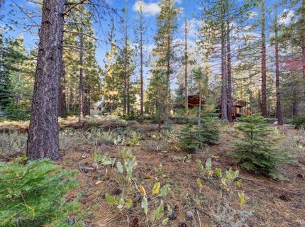 715 Shoshone Street, South Lake Tahoe, CA 96150 Photo
