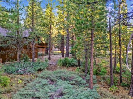 715 Shoshone Street, South Lake Tahoe, CA 96150 Photo