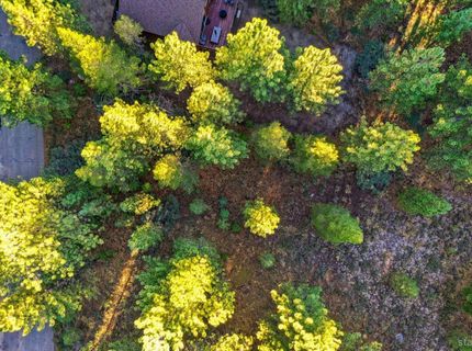 715 Shoshone Street, South Lake Tahoe, CA 96150 Photo