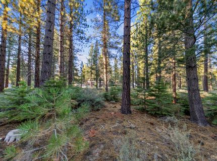 715 Shoshone Street, South Lake Tahoe, CA 96150 Photo