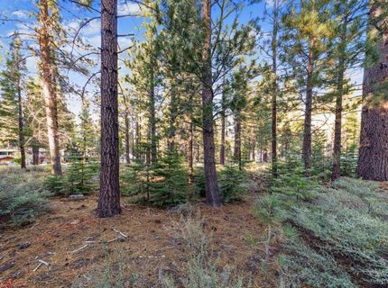 715 Shoshone Street, South Lake Tahoe, CA 96150 Photo