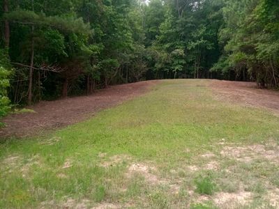 175 Commanders Island Rd., Georgetown, SC 29440