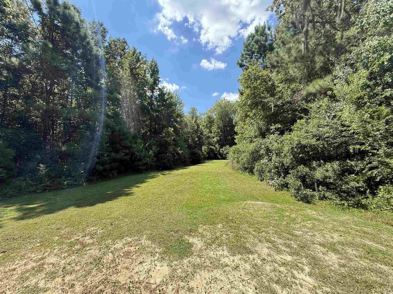 175 Commanders Island Rd. Photo 6