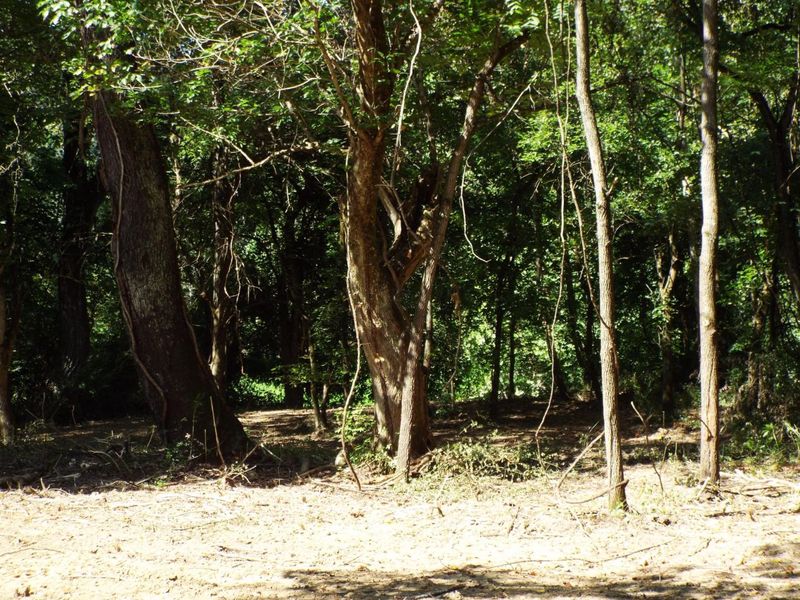 17687 Laurel Run Road, Nelsonville, OH 45764 Photo 13