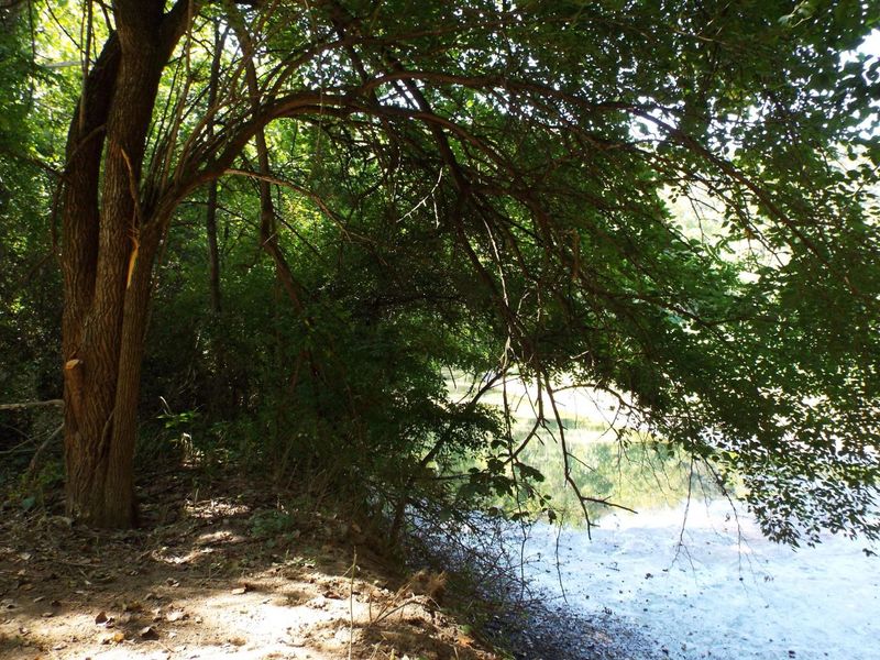 17687 Laurel Run Road, Nelsonville, OH 45764 Photo 18