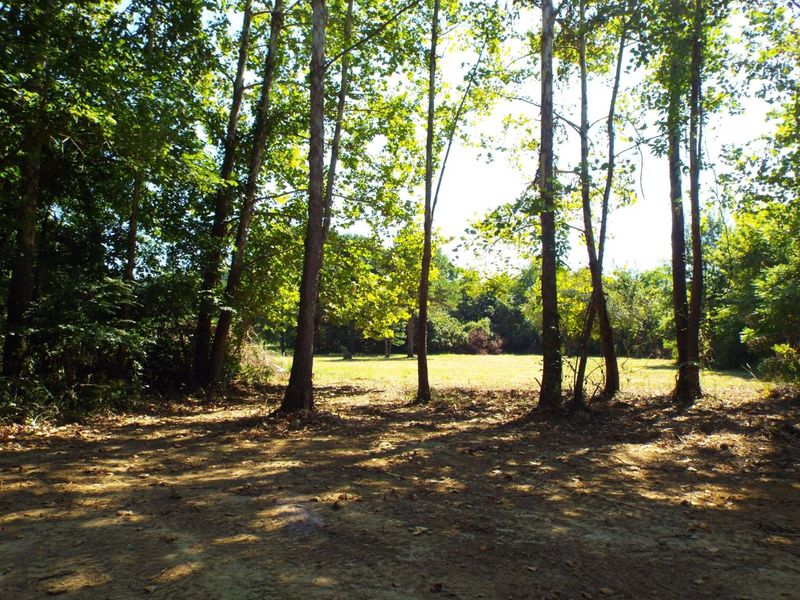 17687 Laurel Run Road, Nelsonville, OH 45764 Photo 19